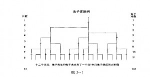 艾略特波浪理论