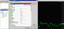 MT4多功能本地跟单EA-峰汇在线