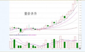 趋势理论买卖法则