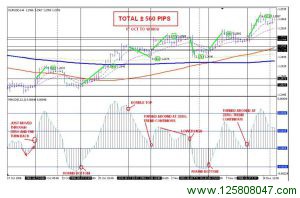 4H Macd 外汇交易策略