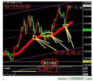 老船长智能外汇分析系统