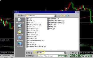 熟悉MT4模板文件