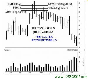 理想的看跌 Gartley