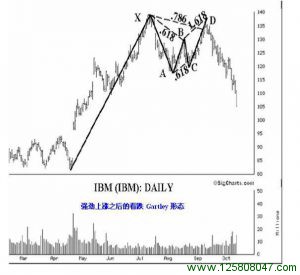 强劲上涨之后的看跌 Gartley 形态