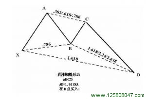 看涨1.618蝴蝶