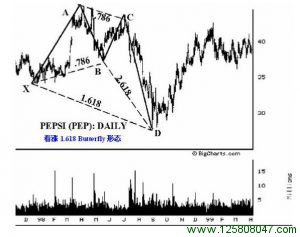 看涨1.618蝴蝶