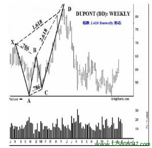 看跌1.618蝴蝶形态