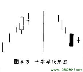 十字孕线形态