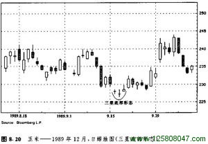 平头顶部形态