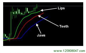  Alligator Lips (Green line) 