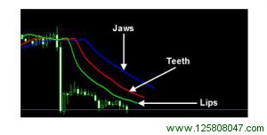  Alligator Lips (Green line) and Teeth (Red line) are below the Jaws (Blue line) 