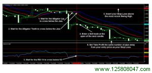  Forex Trend Secrets system