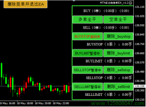 MT4多功能挂单EA界面介绍