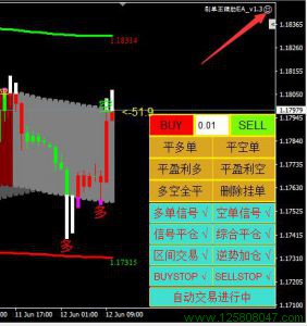 MT4 EA使用说明二