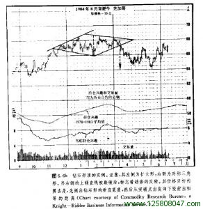 钻石形顶的实例