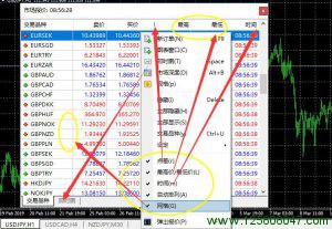 MT4市场报价窗口布局