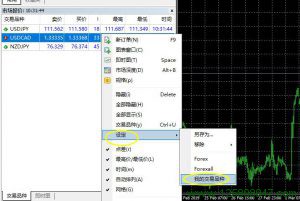 MT4市场报价保存设定文件