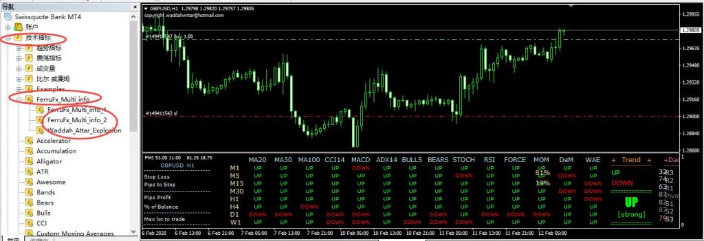 FerruFx_Multi_info分析系统指标安装方法