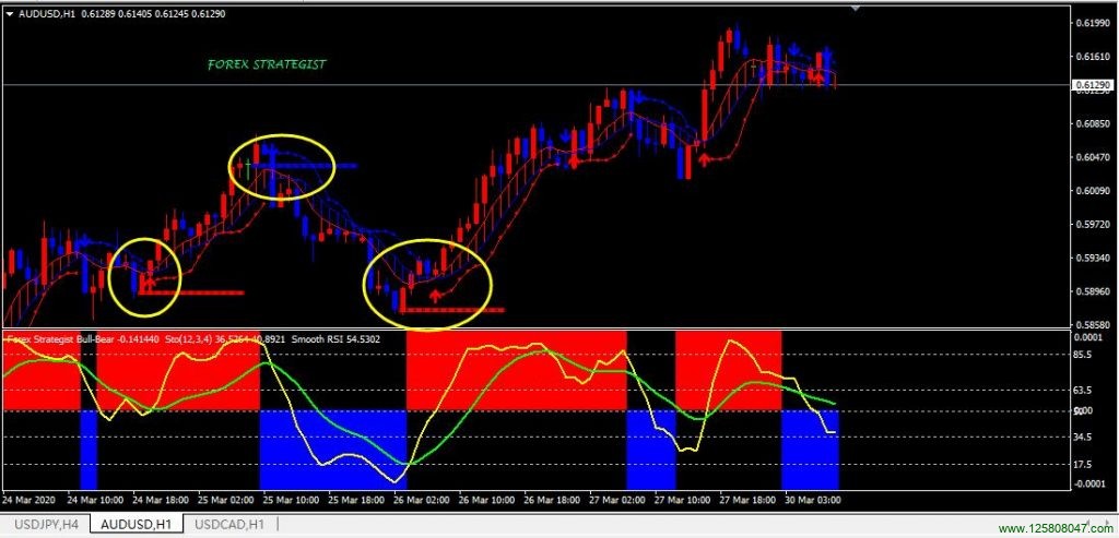 Forex Crocodile system外汇分析系统图表效果