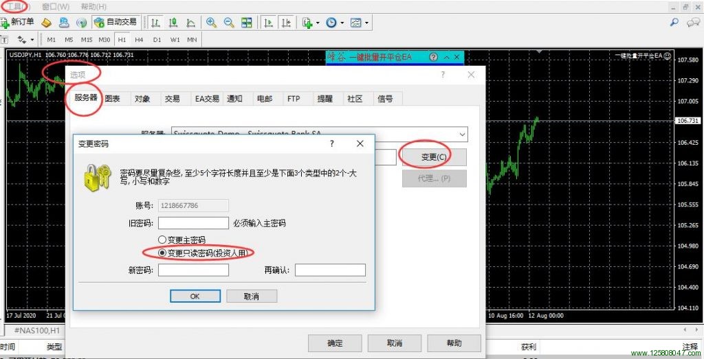 mt4账户设置观摩密码