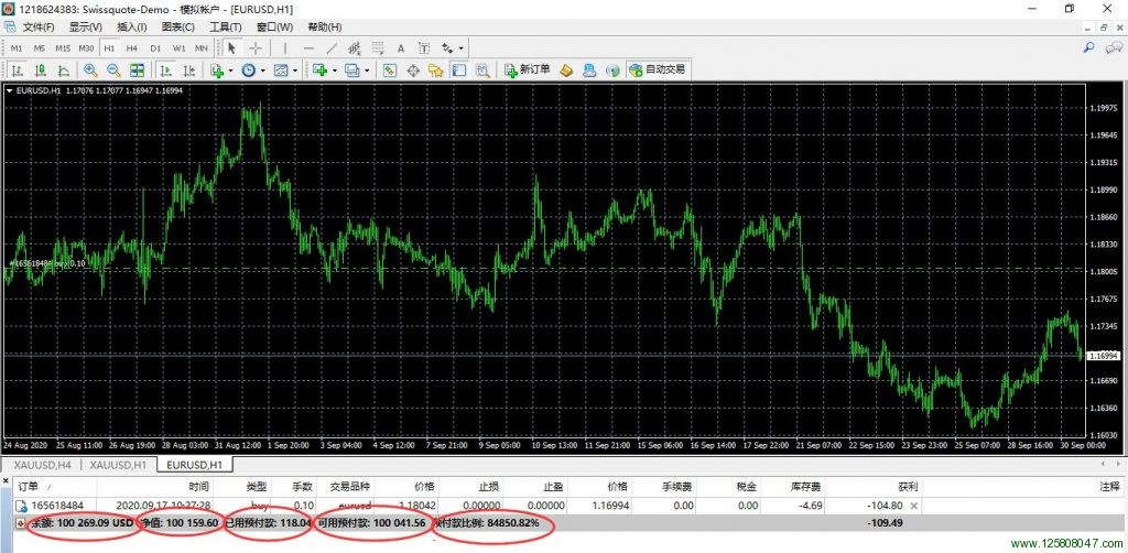 外汇mt4强平爆仓比例