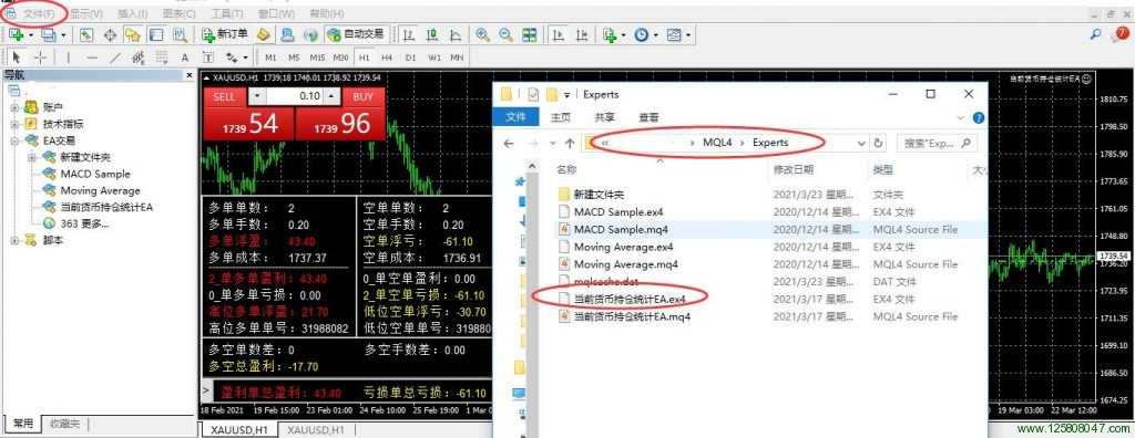 当前货币持仓统计EA安装步骤一