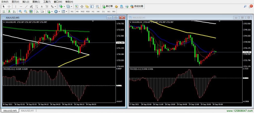 外汇黄金交易五分钟看一小时