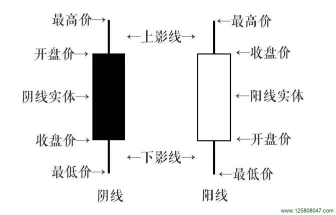 蜡烛（K线）整体结构