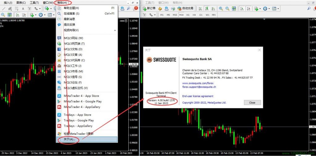 如何查看MT4版本？-峰汇在线