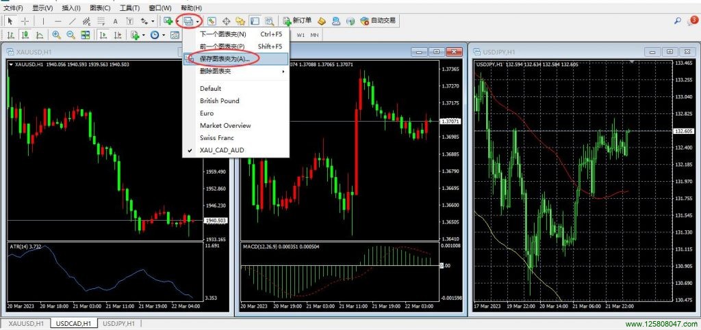 MT4保存图表夹说明图表一