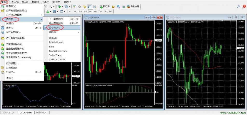 MT4保存图表夹说明图表二