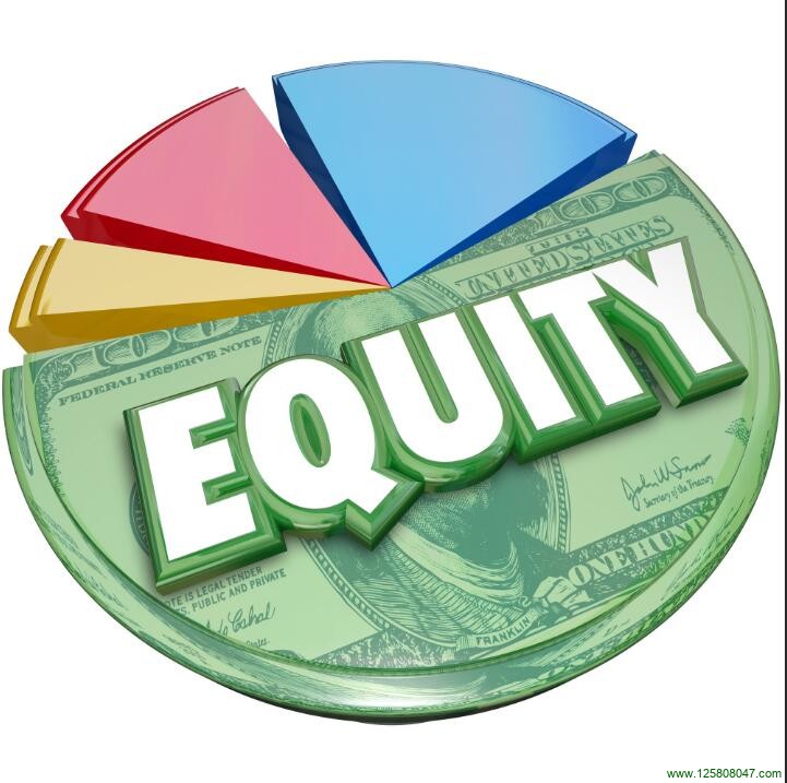 股权（Equity）