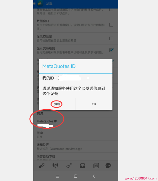 MetaQuotes ID 说明